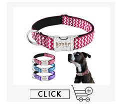 Coleira Personalizada de Couro com Placa Gravada - Cães Pequenos, Médios e Grandes