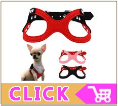 Coleira Personalizada de Couro com Placa Gravada - Cães Pequenos, Médios e Grandes