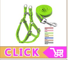 Coleira Personalizada de Couro com Placa Gravada - Cães Pequenos, Médios e Grandes