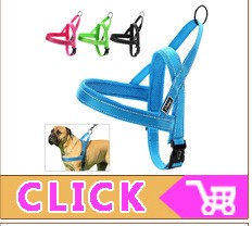 Coleira Personalizada de Couro com Placa Gravada - Cães Pequenos, Médios e Grandes