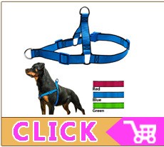 Coleira Personalizada de Couro com Placa Gravada - Cães Pequenos, Médios e Grandes