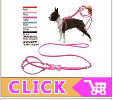 Coleira Personalizada de Couro com Placa Gravada - Cães Pequenos, Médios e Grandes