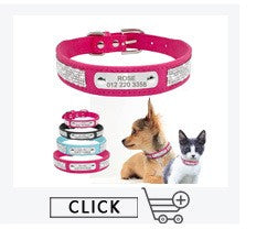 Coleira Personalizada de Couro com Placa Gravada - Cães Pequenos, Médios e Grandes