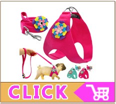 Coleira Personalizada de Couro com Placa Gravada - Cães Pequenos, Médios e Grandes