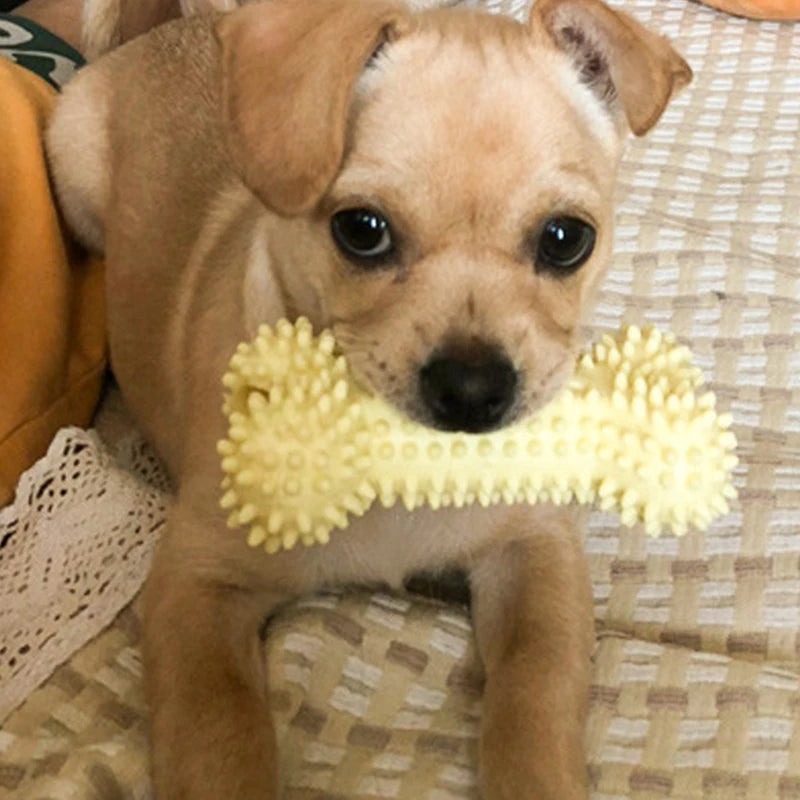 Brinquedos para cães de estimação, para cães pequenos, mastiga, nó tpr, resistente à mordida, molar, limpeza dos dentes, suprimentos de treinamento para cães, acessórios interativos