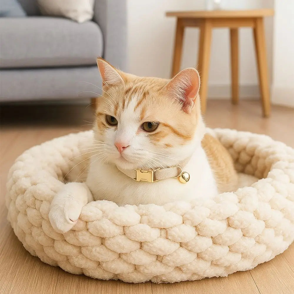 Coleira de gato ajustável prática com sino fivela de metal cor sólida colar de gato personalizado coleira de cachorro de estimação show de animais de estimação