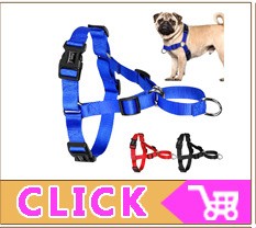 Coleira Personalizada de Couro com Placa Gravada - Cães Pequenos, Médios e Grandes