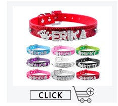 Coleira Personalizada de Couro com Placa Gravada - Cães Pequenos, Médios e Grandes